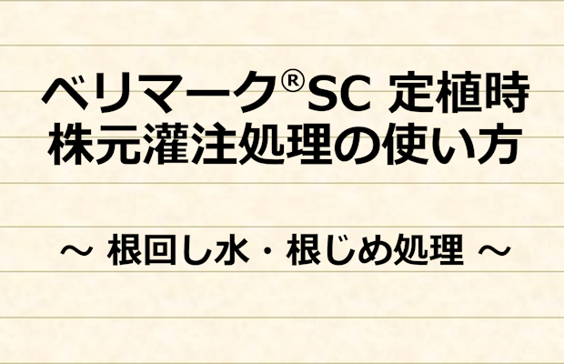 how-to-use-verimark.png