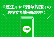 LINE友達登録でお役立ち情報配信中