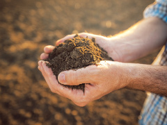 土壌環境の改善・向上