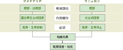 エコトップの作用特性図