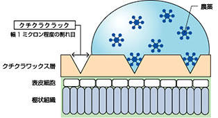 アプローチBIの浸透のメカニズム