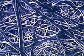 デュポン™タイベック®を構成する強靭な極細ポリエチレン繊維（200倍）