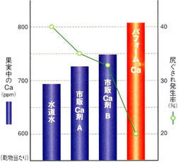 果実中へのCa取り込みと尻ぐされ発生率グラフ