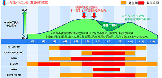 夏越しにお勧めの散布方法（根重の増加）図解