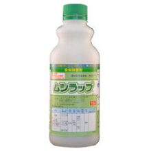 ムシラップ