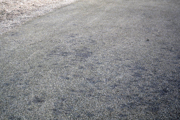 カーブラリア葉枯病（犬の足跡）（秋期のパッチ跡は冬期に擦り切れて裸地化する）