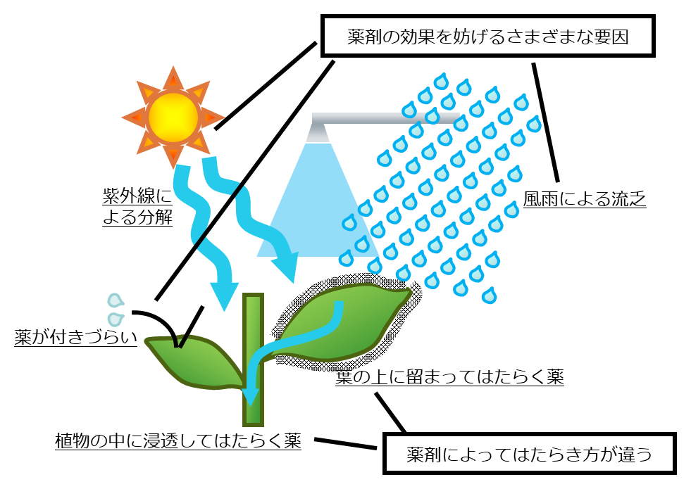 機能性展着剤の目的