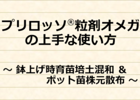 プリロッソ®粒剤オメガの上手な使い方