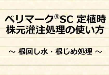 ベリマーク®SC　定植時 株元灌注処理の使い方