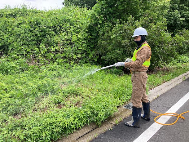 動力噴霧器等を使用して雑草に均一に散布する