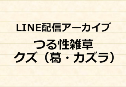 ユニカス事業部　LINE配信アーカイブ　つる性雑草　クズ（葛・カズラ）