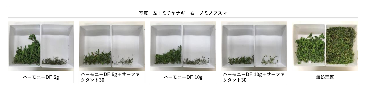 ミチヤナギへのハーモニーDFの試験結果及び効果