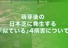 萌芽後の日本芝に発生する、『似ている』4病害について