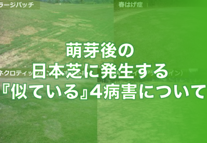 萌芽後の日本芝に発生する、『似ている』4病害について