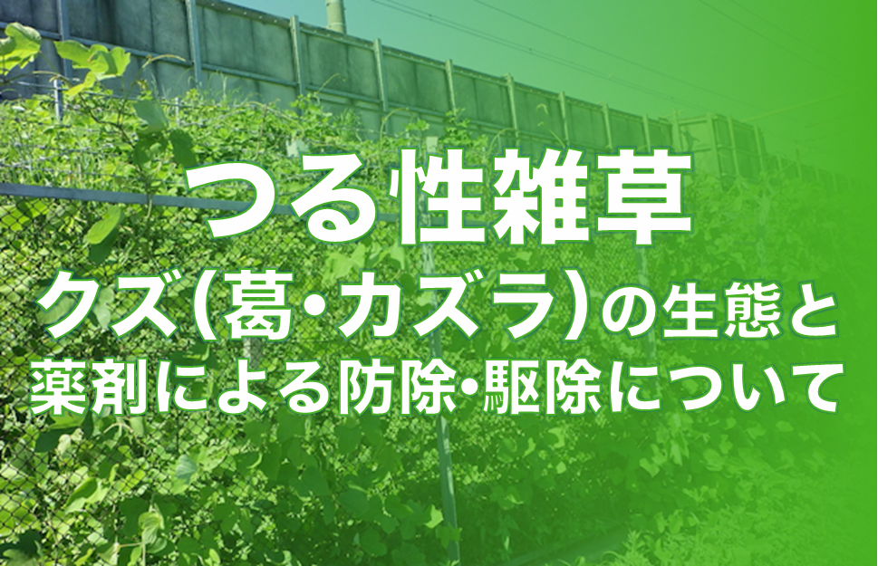 つる性雑草クズ（葛・カズラ）の生態と薬剤による防除・駆除について