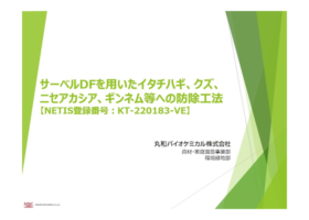 サーベルDFを用いたイタチハギ、クズ、ニセアカシア、ギンネム等への防除工法 - 本技術について -
