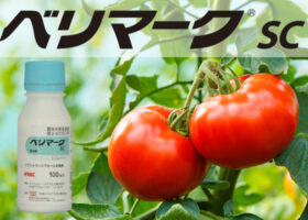 ベリマークⓇSC