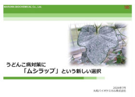 うどんこ病対策に「ムシラップ」という新しい選択